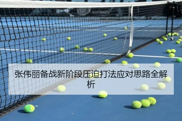 张伟丽备战新阶段压迫打法应对思路全解析